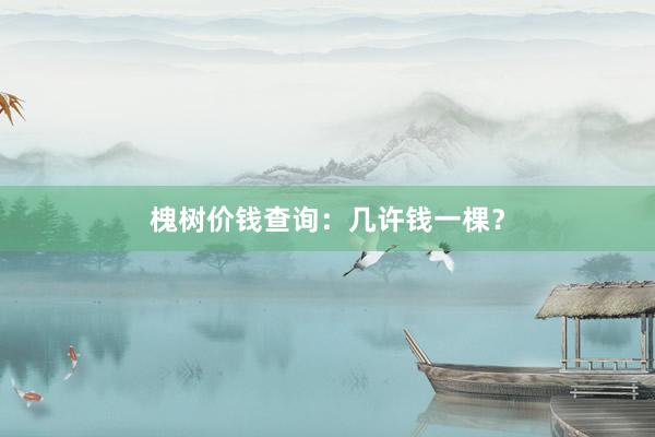 槐树价钱查询：几许钱一棵？