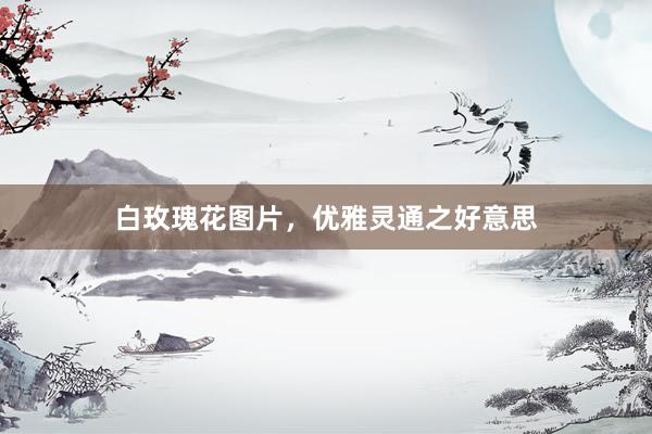 白玫瑰花图片，优雅灵通之好意思